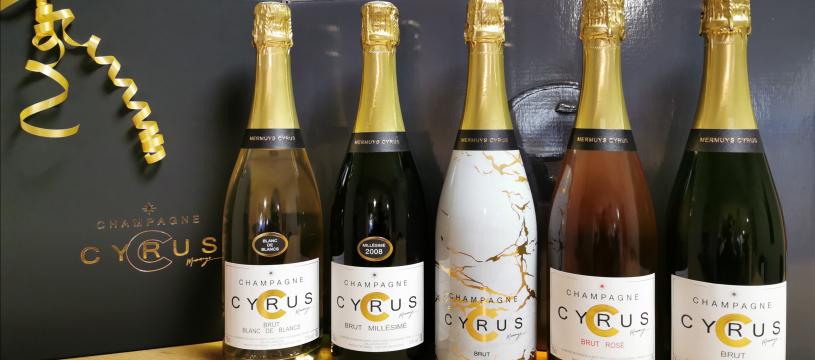 Champagne "Cyrus" exclusivité Cavavin